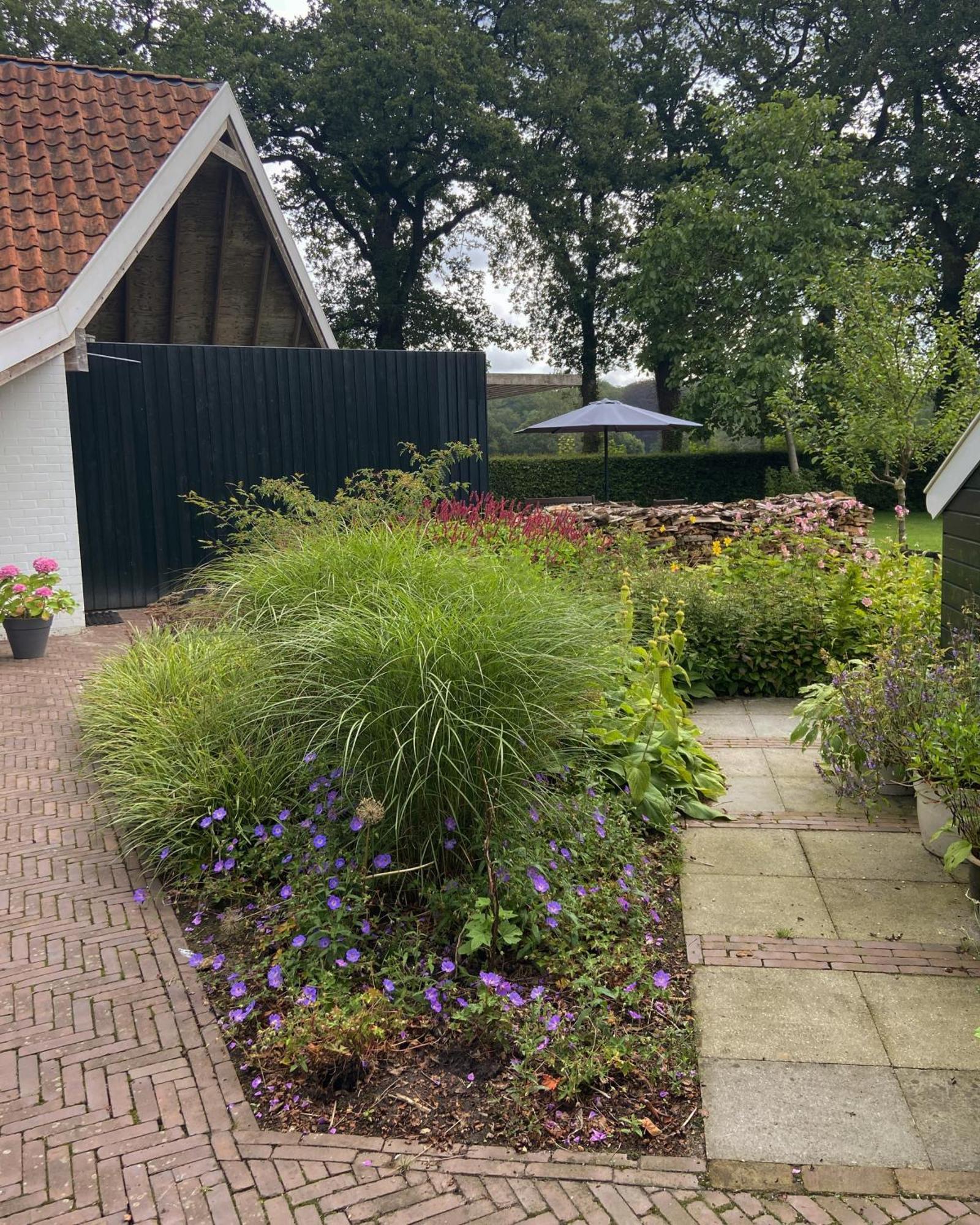 Haystackcottage Paterswolde Luaran gambar